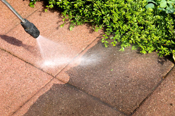 Best Exterior Home Cleaning  in Baxter, MN